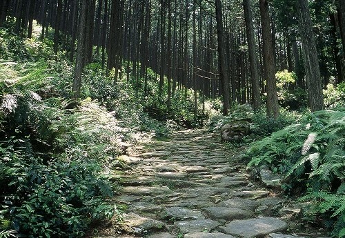 伊勢路（いせじ）