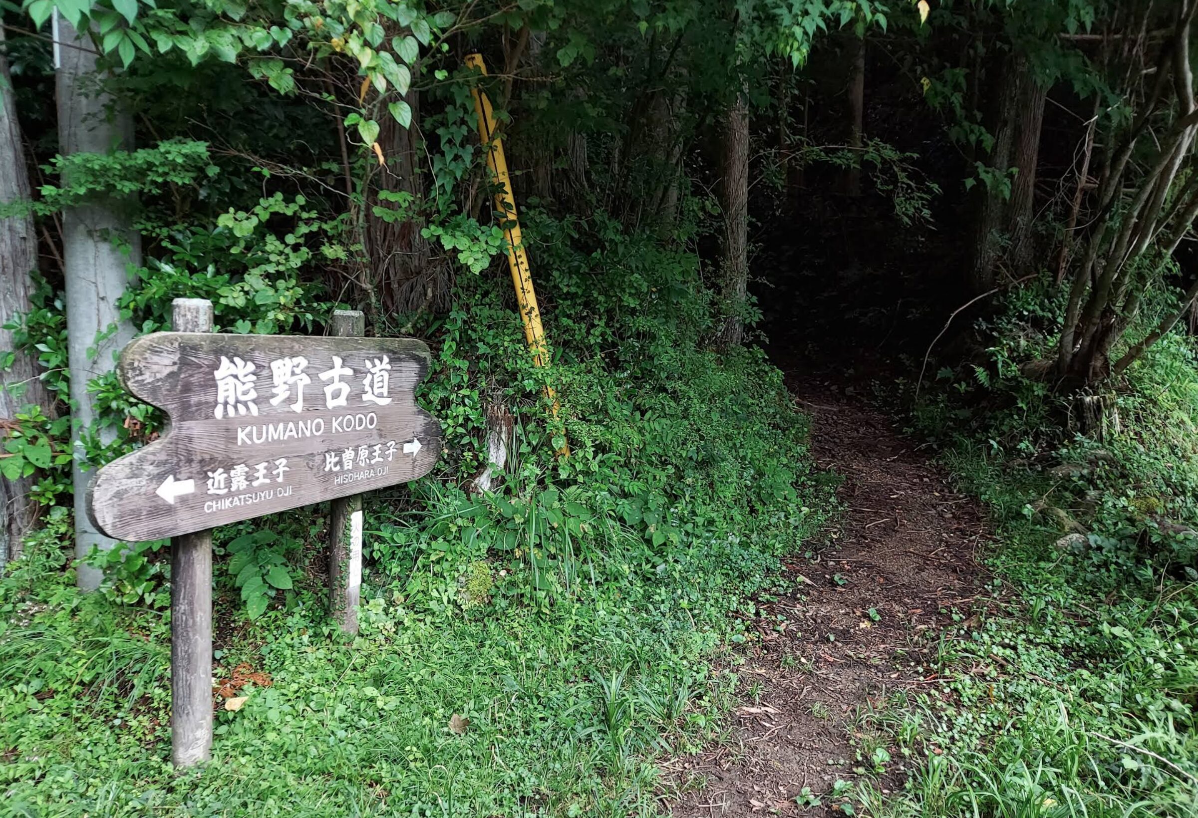 中辺路（なかへち）